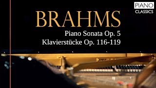 Brahms Piano Sonata [upl. by Narut106]