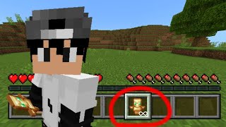 COM ESSE MÉTODO EU POSSO SER IMORTAL NO MINECRAFT [upl. by Mcwherter]