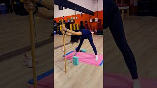 Ginnastica Posturale posturalgym [upl. by Retsevel]