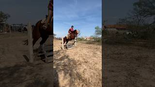 Jumps on torreto D 🤍 horse showjumping equestrian autumn barrelracing [upl. by Norreg]