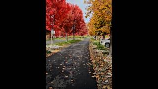 Wenatchee Riverfront Park Washington Fall Colors 2024 fallcolors nature adventure [upl. by Anikahs482]