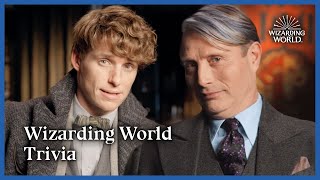 Wizarding World Trivia  Fantastic Beasts The Secrets of Dumbledore [upl. by Henrietta536]