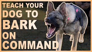 How to Teach Your Dog to Bark on Command [upl. by Havener]