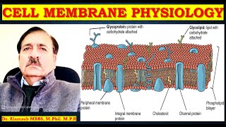 Human CELL Membrane PHYSIOLOGY Lectures by Dr Alamzeb [upl. by Hanavas]