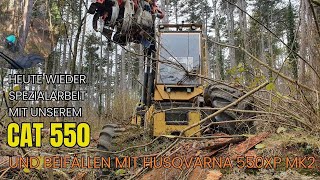 Heute mit Cat 550 und Husqvarna 550 XP zu zweit auf der Baustelle hängende Kiefern beifällen [upl. by Ajiak]