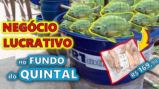 🐟 COMO FAZER um SISTEMA de CRIAÇÃO DE PEIXES EM CAIXA DÁGUA  AULA COMPLETA 🐟🐟🐟 [upl. by Atiuqa112]