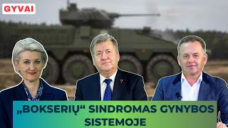 Lietuvos gynybai leidžiami milijardai bet ar iš tiesų galime jaustis saugūs [upl. by Llenoj]