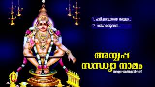 അയ്യപ്പ സന്ധ്യാനാമം  Ayyappa Sandhyanamam  Hindu Ayyappa Devotional Songs Malayalam [upl. by Genisia]