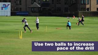 Cricket Fielding Drill Four Stump Warm Up [upl. by Ahsienom]