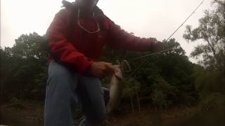 Barren River Lake Flipping for Largemouth Bass [upl. by Goth386]