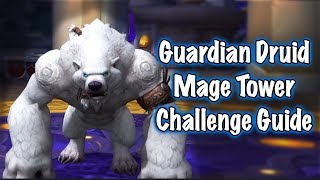 Guardian Druid Mage Tower Artifact Challenge Jessiehealz [upl. by Tnattirb124]