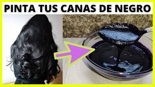 TINTE Negro CASERO para que PINTES Tus CANAS y es Totalmente NATURAL [upl. by Naujad]