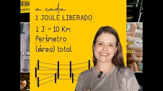 Como escolher a potência do seu energizador de cerca elétrica rural [upl. by Aninotna]