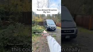 Tree Almost SMASHED My Van [upl. by Sabas]