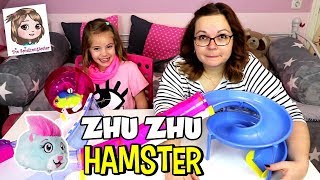 UNSERE HAMSTER DREHEN DURCH ðŸ¹ ZhuZhu Pets  Playhouse und Laufrad  Spin Master [upl. by Knepper]