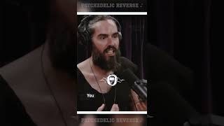 Russell Brand on DMT 🍄 Prophets messages and psychedelics joeroganexperience jre jreshorts [upl. by Enimisaj]