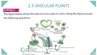 Biology F2  Ch2 Vascular Plants Lesson 2 [upl. by Normie]