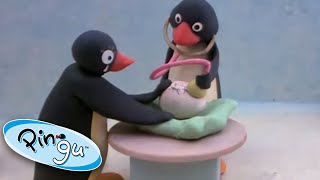 Pinga is Born  Pingu Official  1 Hour  Cartoons for Kids [upl. by Nissa296]