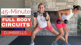 45Minute Full Body Circuits [upl. by Ainaj267]