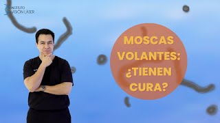 Moscas volantes ¿Tienen cura [upl. by Cointon]