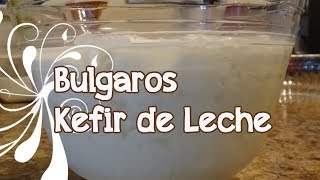 BULGAROS O KEFIR DE LECHE [upl. by Anividul]