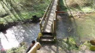 Schwierigkeiten beim Ausreiten Brücke [upl. by Amsa842]