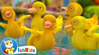 Five Little Ducks  Nursery Rhymes amp Kids Songs  IshKids [upl. by Adnohs200]