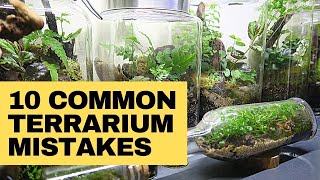 Closed terrarium mistakes and how to avoid them [upl. by Doreen]