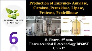 Production of enzymes Amylase Catalase Peroxidase Lipase Protease Penicillinase  Ph Biotech [upl. by Vogeley]