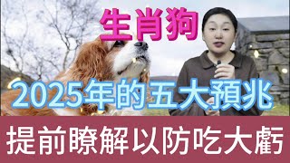 生肖狗注意！2025 年五大预兆揭晓，屬狗人早知道早受益，少吃亏赢未来！風水 生肖 運勢 佛教 命理 [upl. by Hairej]