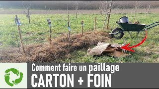 Foin et carton le bon paillage pour arbres et arbustes  mulch cardboard  haygrass [upl. by Rorke]