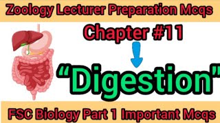 Mcqs of chapter 11 DigestionFederal Bio class 11fpsc spscppsc [upl. by Barstow146]