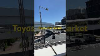 Toyosu fish market Japan fishing japan [upl. by Norval]