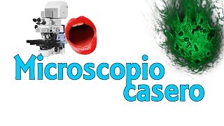 ¿Qué hay en tu boca  Microscopio láser casero Experimentos Caseros [upl. by Branca]