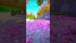 ప్రియ నేస్తమా శుభోదయం 🩷 Nature Lyrics explore foryou love naturemusic [upl. by Anneiv621]