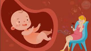 🎵🎵🎵 Pregnancy music for unborn baby ♥ Brain development ♥ Baby kick in the womb 🎵🎵🎵 [upl. by Daye615]