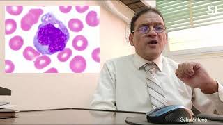 WBCs in blood smear كيف تتعرف على خلايا الدم البيضاء تحت الميكروسكوب [upl. by Maiocco]