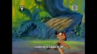 Disney  The Lion Kings Timon amp Pumbaa  Intro Multilanguage Part 1 [upl. by Dolores]