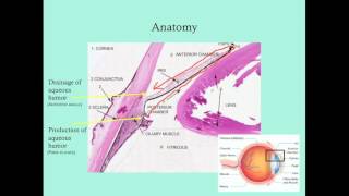 Glaucoma  CRASH Medical Review Series [upl. by Imac]