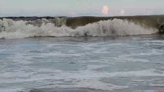 botany bay south carolina [upl. by Tonie774]