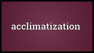 Acclimatization Meaning [upl. by Allegna48]