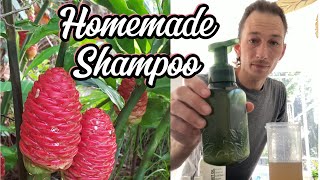 How To Make Homemade Shampoo From Pine Cone Ginger Plant Shampoo Ginger [upl. by Yemarej]