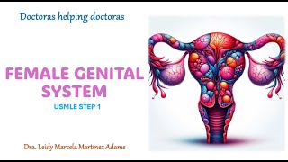 Female Genital System  Step 1 [upl. by Gizela286]