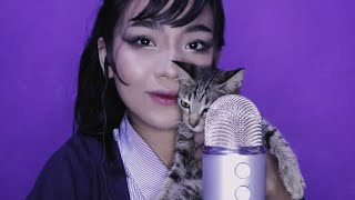 ASMR with cats 𓃠 [upl. by Lefty781]