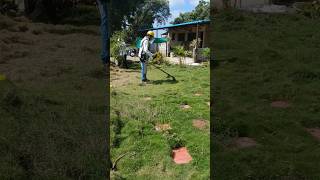 How easily lawn grass cleaned agriculture lawn equipment grasscutter machine shorts [upl. by Uy]