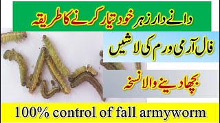 Prepare granular pesticide for Fall Armyworm at home Practical Control of FAW  Dr Jamil Shafi [upl. by Akcirederf724]