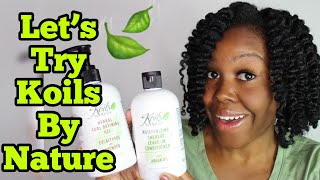 Surprise I Tried Koils By Nature Natural Hair Care Products [upl. by Brant]