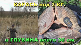 Я таких карасей еще не ловил Охота на карася под 3кг [upl. by Tyler]