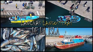 lanchas LANGOSTERAS de ISLA de CEDROS 🦞 [upl. by Ferd]