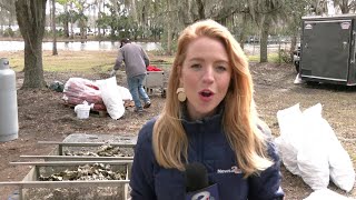 Lowcountry Oyster Festival celebrates its 40th year [upl. by Maibach747]